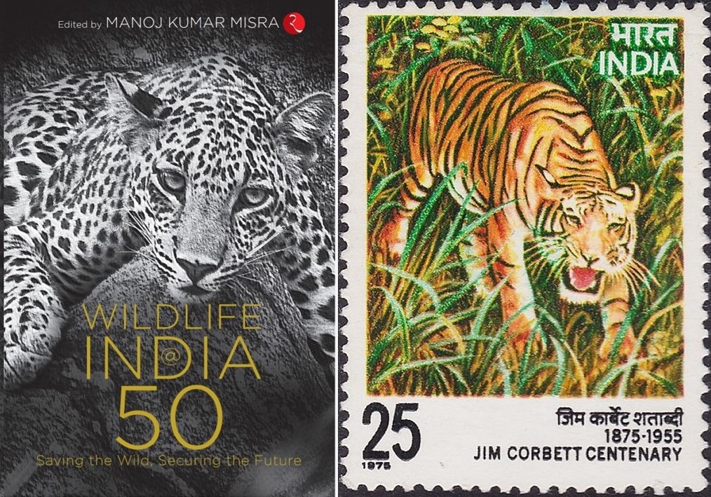 Conservation Experience